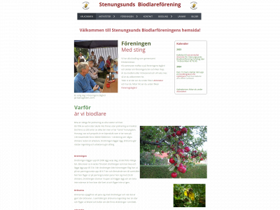 stenungsundsbi.se snapshot