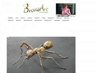 bronsart.nl snapshot