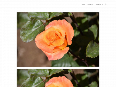 shotofnature.com snapshot