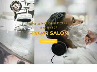 salonrio.dk snapshot