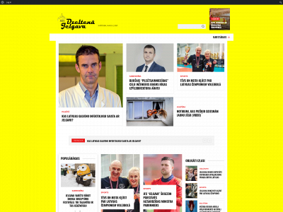dzeltena.com snapshot