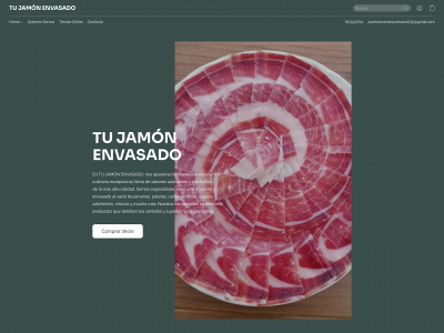 tujamonenvasado.es snapshot