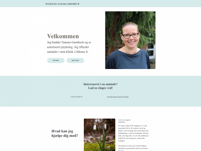 tamarapsykolog.dk snapshot
