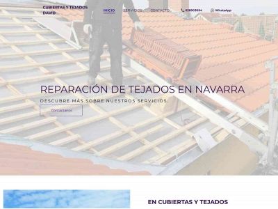 cubiertasytejadosdavid.es snapshot