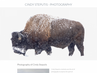 www.cindysteputis.com snapshot