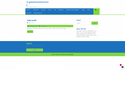 organizationsolutions.store snapshot