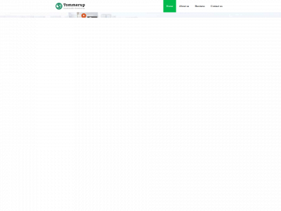 tommerupdk.com.ng snapshot