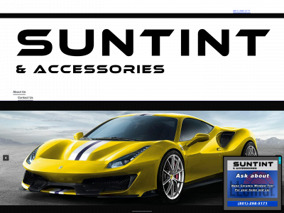 suntintaccessories.com snapshot