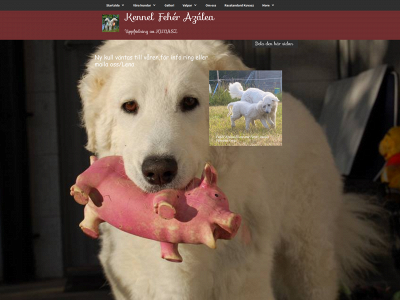 feherazalea.se snapshot