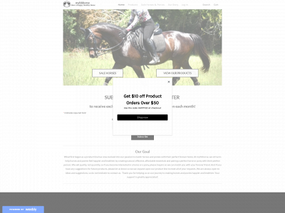 www.myhhhorse.com snapshot