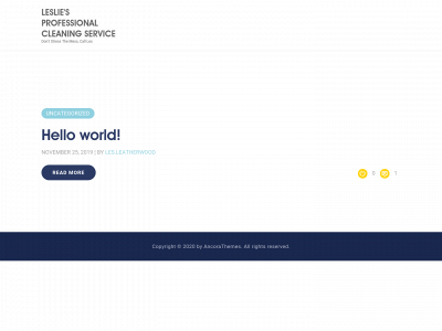lesliesproclean.com snapshot