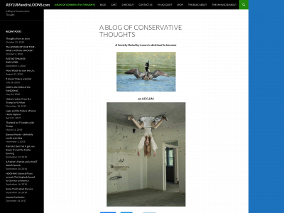asylumanditsloons.com snapshot