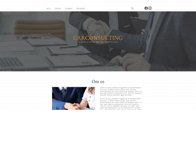 carconsulting.dk snapshot