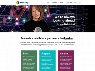 shockeyconsulting.com snapshot