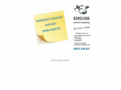 borgijink.com snapshot