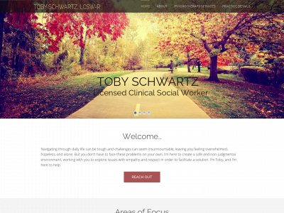 tobyschwartzpsychotherapy.com snapshot