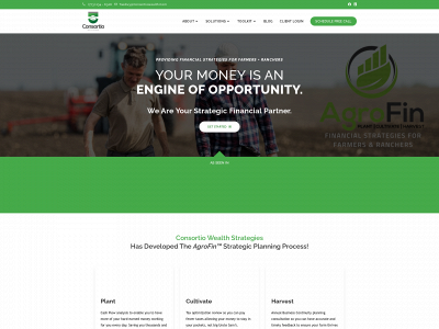 consortiowealth.com snapshot