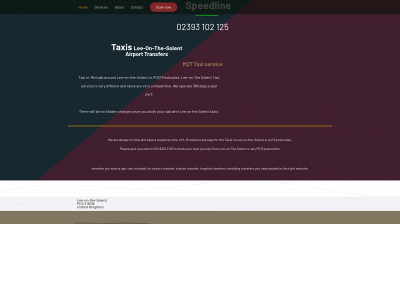 leeonthesolenttaxis.com snapshot