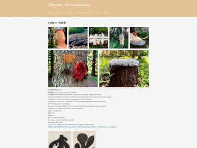 elizabetchristiansson.se snapshot