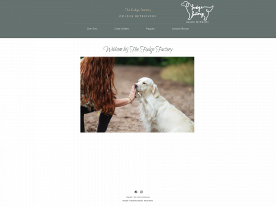 thefudgefactory-goldenretrievers.nl snapshot