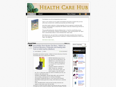 health-care-hub.com snapshot
