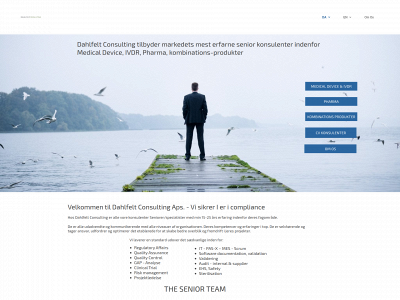 dahlfeltconsulting.com snapshot
