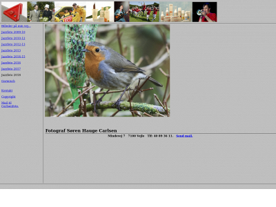 carlsenfoto.dk snapshot