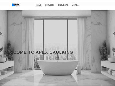 apexcaulking.com.au snapshot