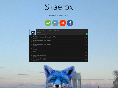 skaefox.com snapshot