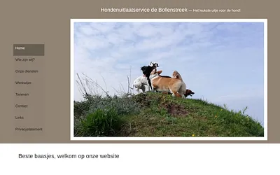 hus-debollenstreek.nl snapshot