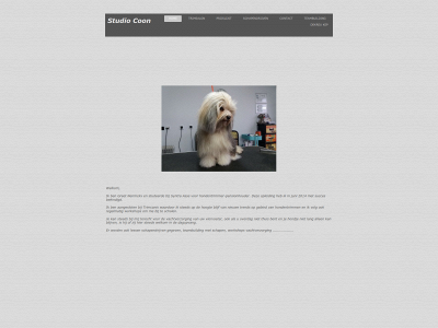 studiocoon.be snapshot