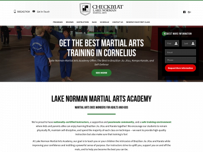lknmartialarts.com snapshot
