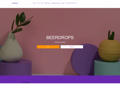 beerdropsofficial.store snapshot
