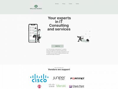mpls-networks.com snapshot