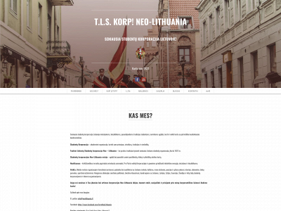 neolithuania.lt snapshot