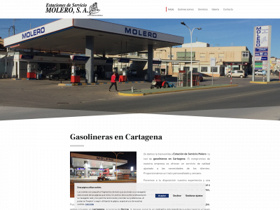 estaciondeserviciomolero.com snapshot