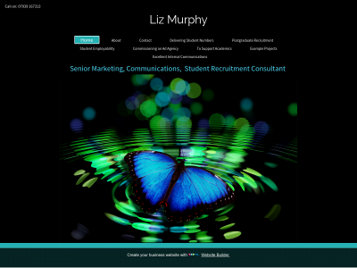 marketingconsultant.org.uk snapshot