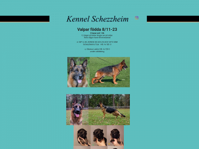 schezzheim.se snapshot
