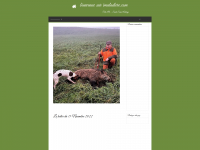 imaladiere.com snapshot