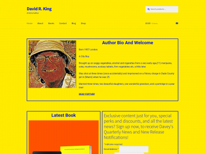 davidrking.co.uk snapshot