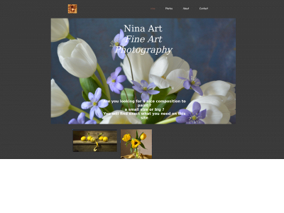 ninastudio.de snapshot