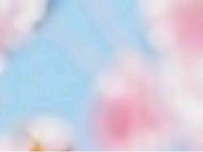 usui-shiki-ryoho.dk snapshot