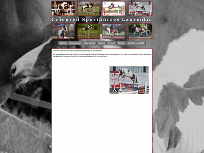 sportpaarden-laurentii.be snapshot