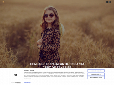 www.monpetitlion.net snapshot