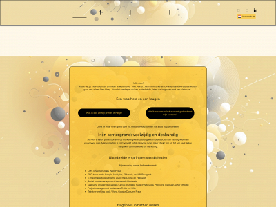 metannet.online snapshot