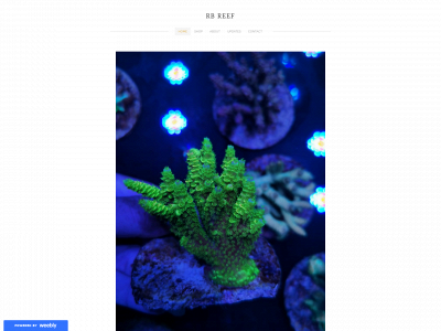rbreefonline.weebly.com snapshot