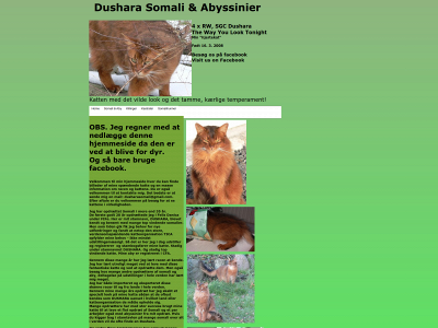 dushara.dk snapshot
