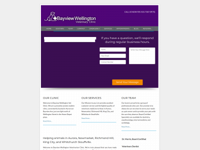 bayviewwellingtonvet.ca snapshot