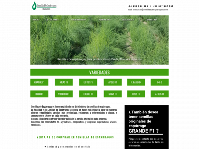 semillasdeesparragos.com snapshot