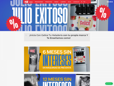 gelice.com.mx snapshot
